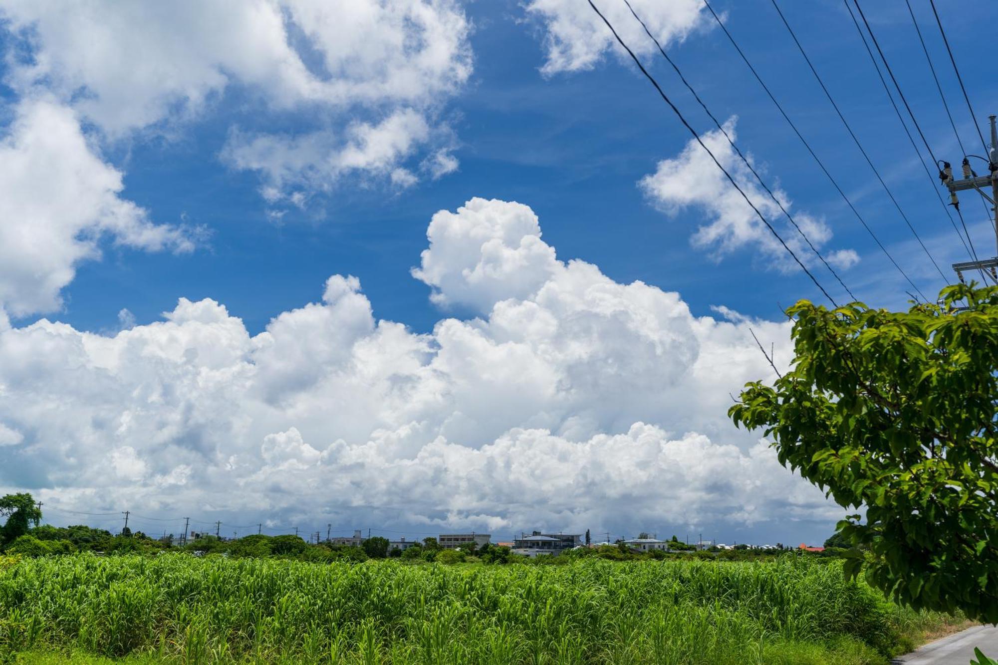 Ada Garden Hotel Okinawa Kunigami Bagian luar foto